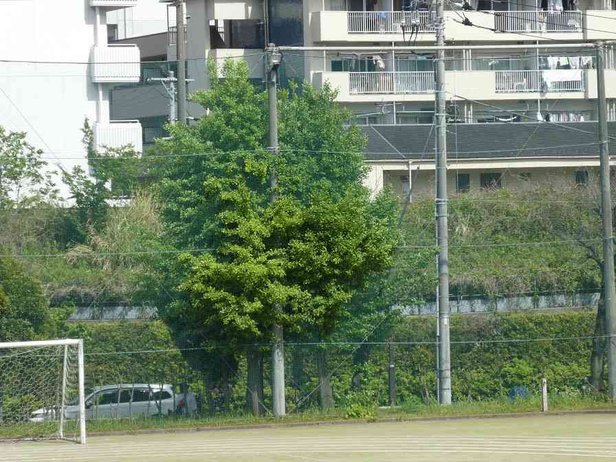 P1090945