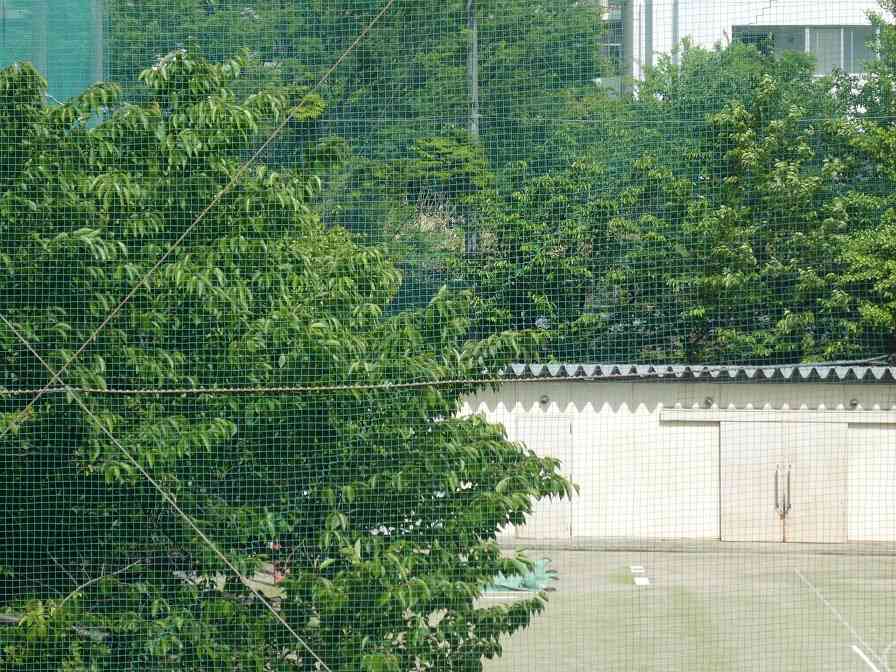 P1090946