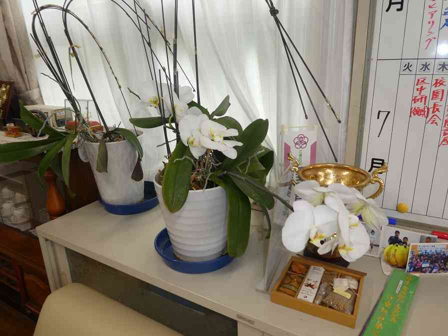 P1100004