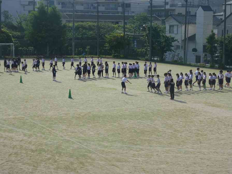 P1100029
