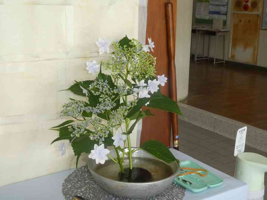 P1100339