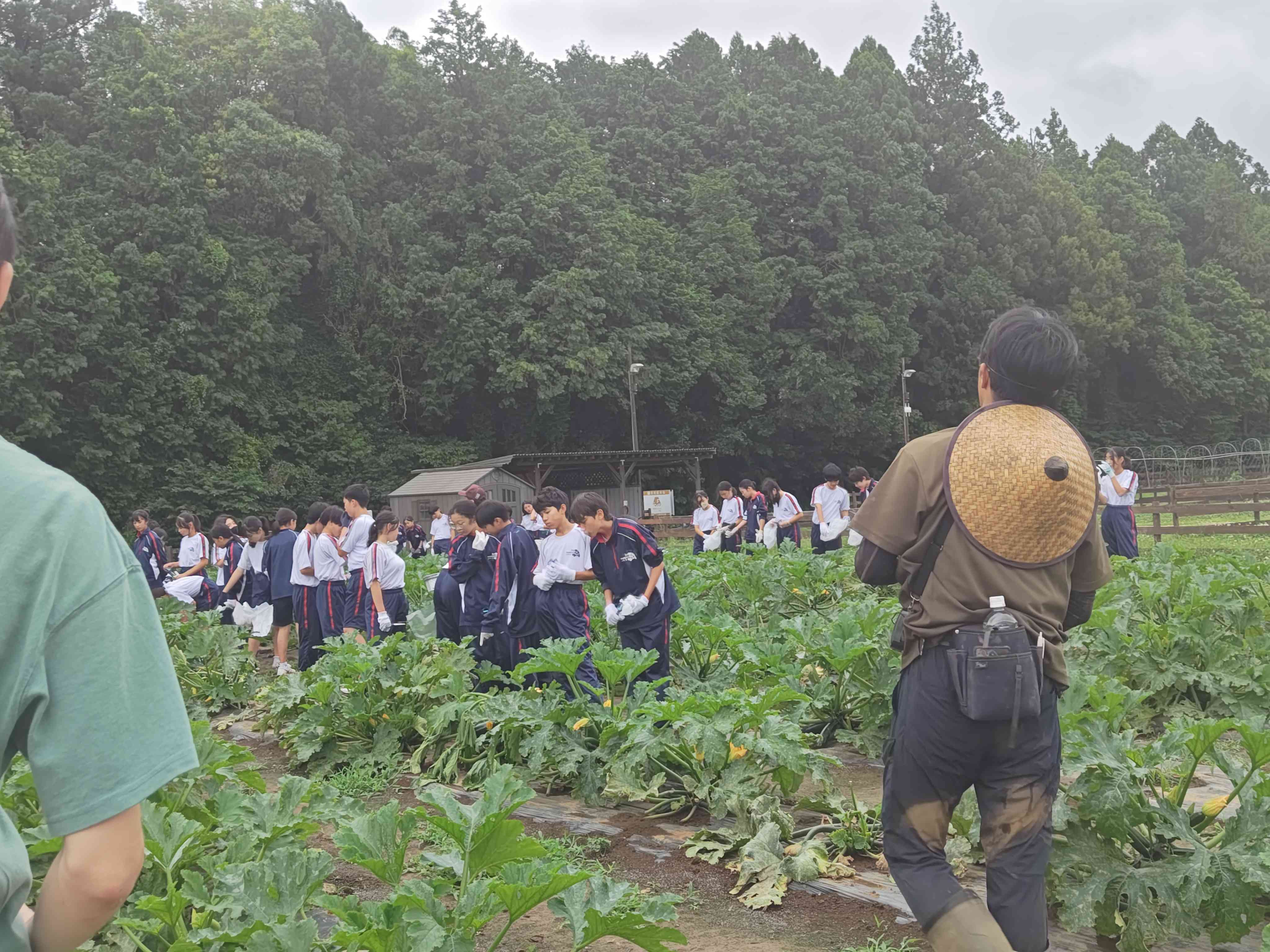 2026.06.26.1年校外学習写真野菜収穫3