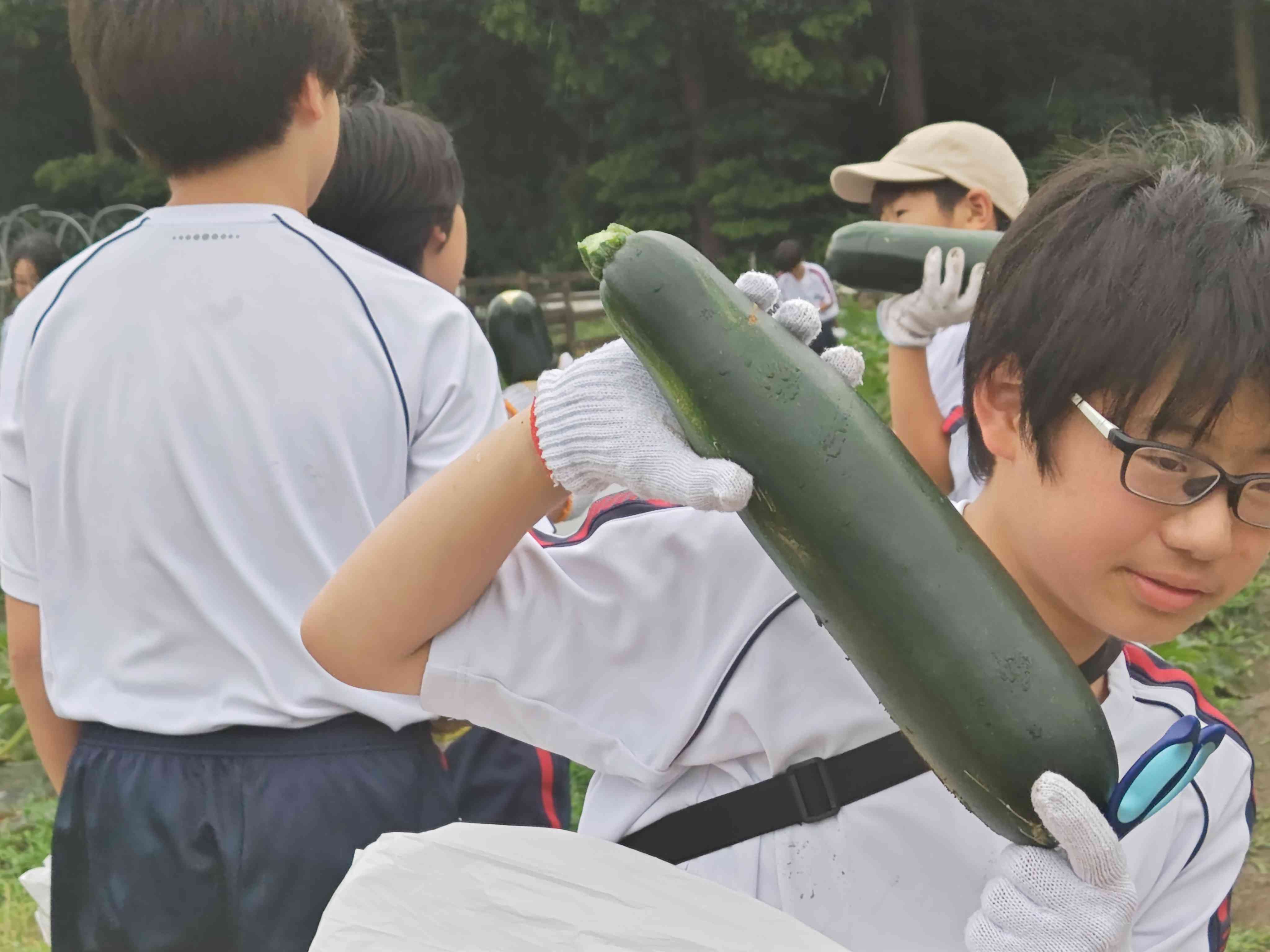 2026.06.26.1年校外学習写真野菜収穫6