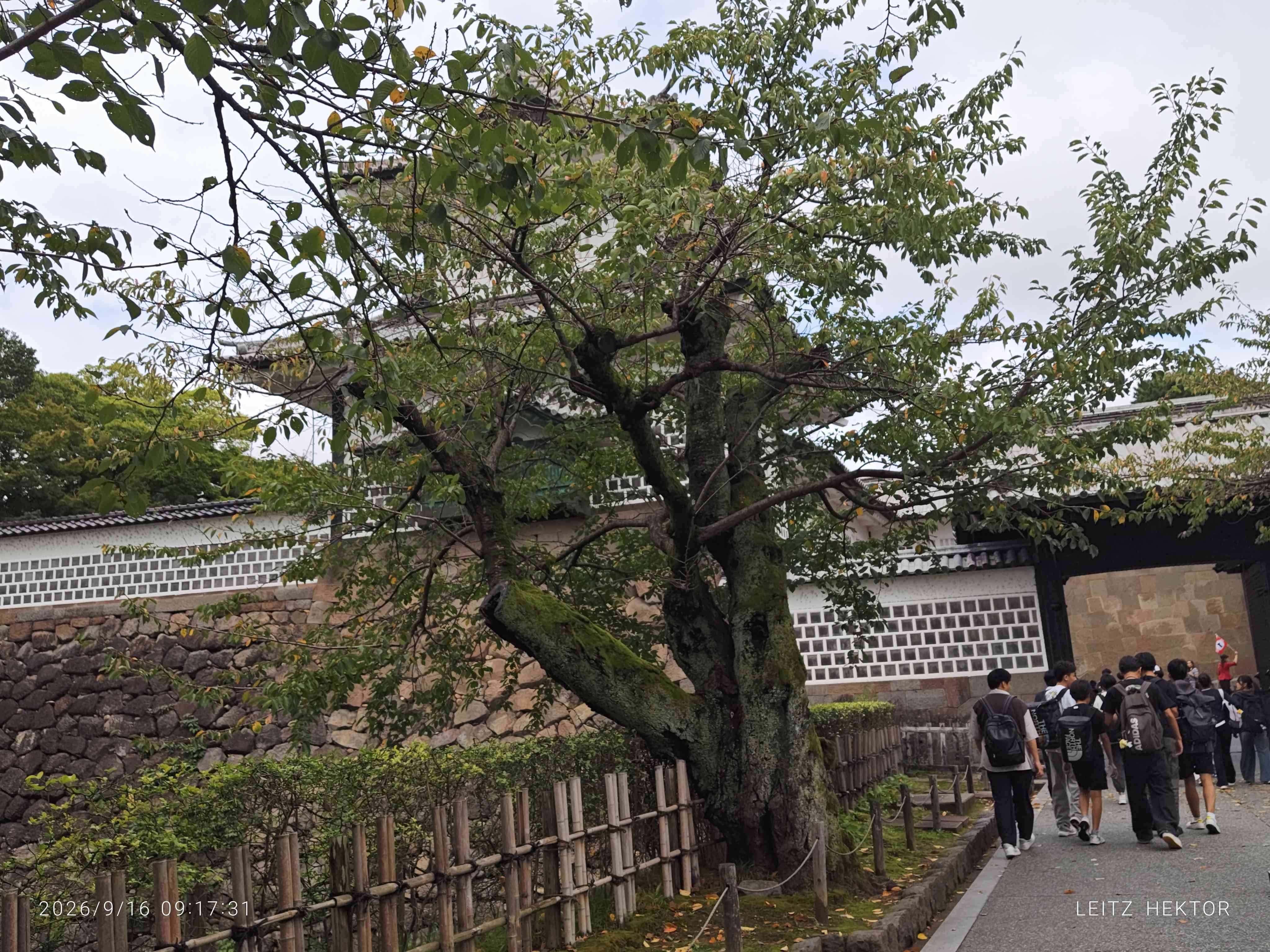 2026.09.16.修学旅行2日目6